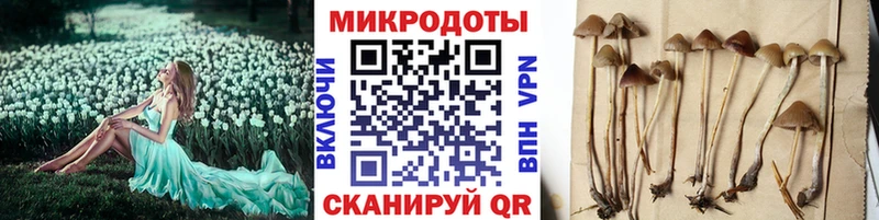 Псилоцибиновые грибы MAGIC MUSHROOMS  купить  цена  Алагир 